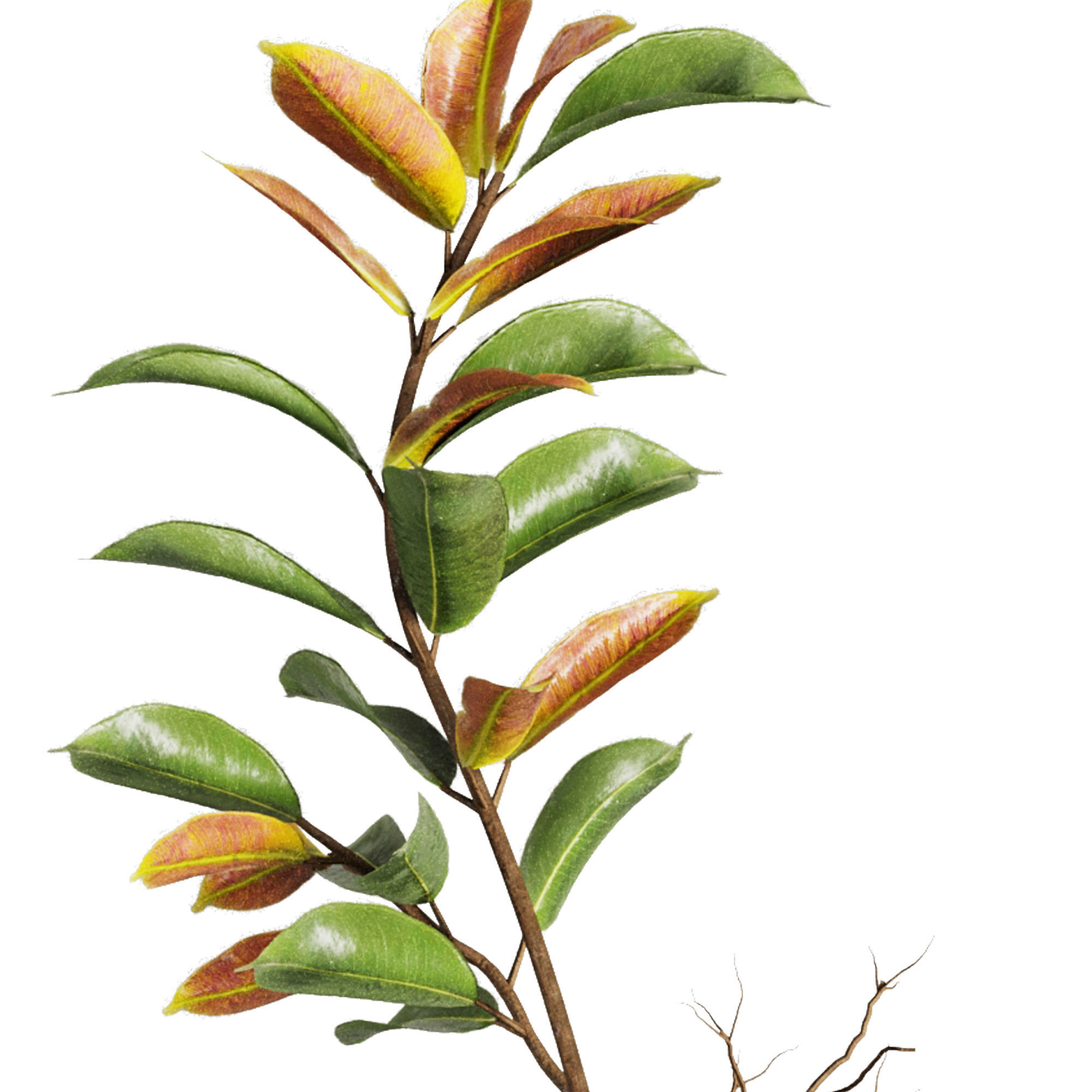 Dry Branches Bouquet20 3D model_6