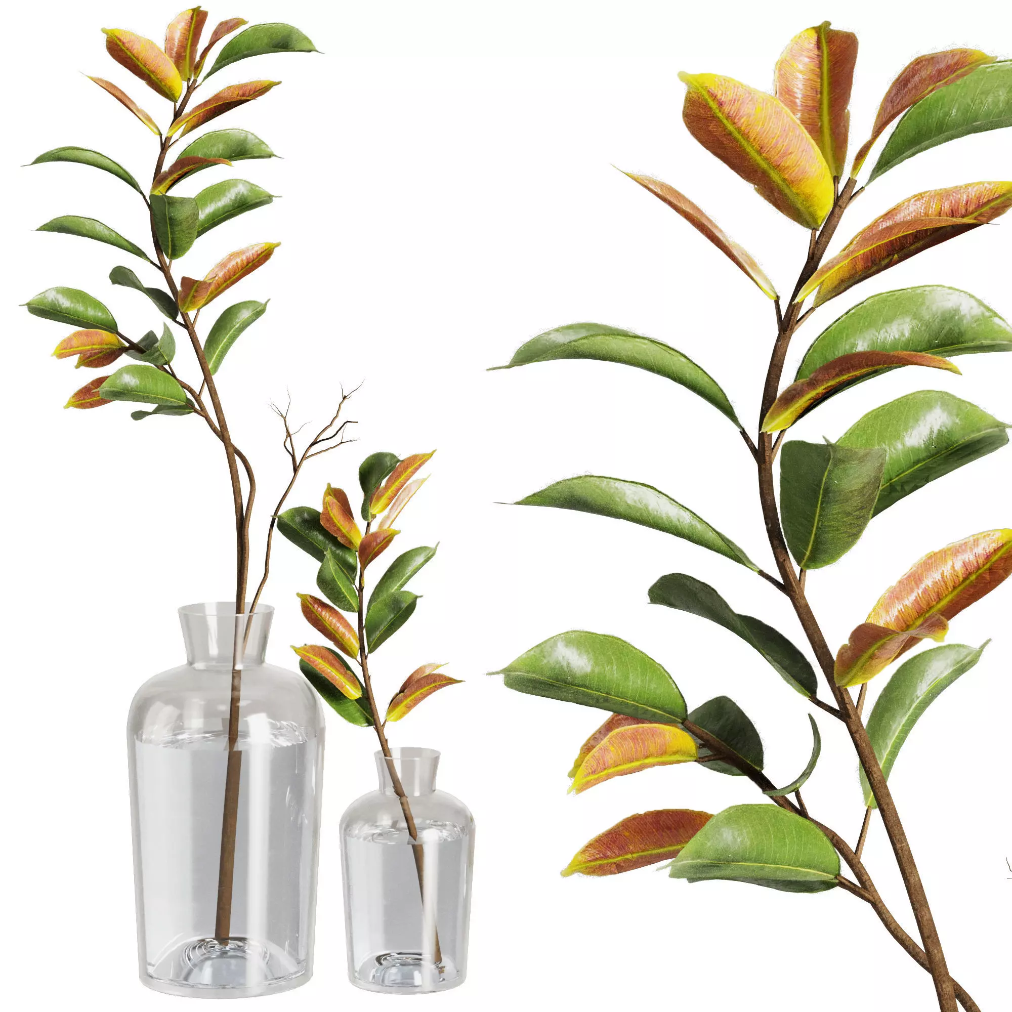 Dry Branches Bouquet20 3D model_0