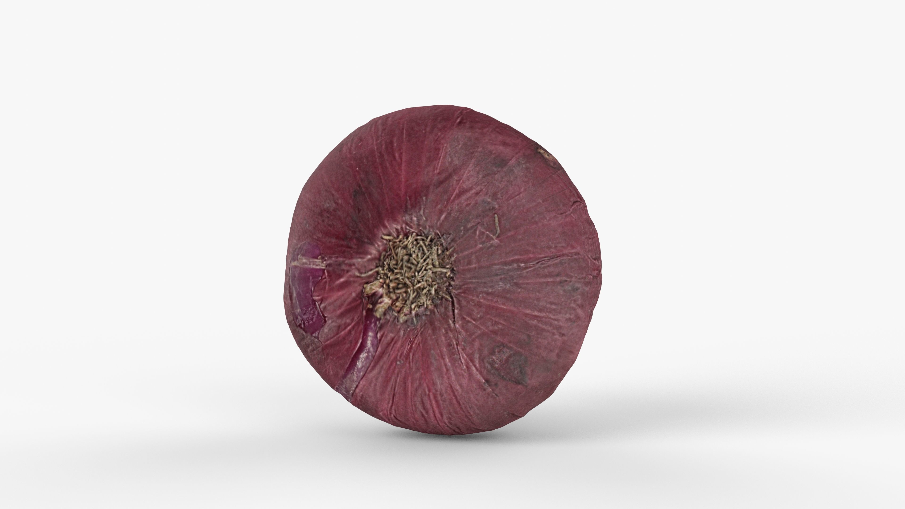 Photorealistic 3D scan of onion Low-poly 3D model_4