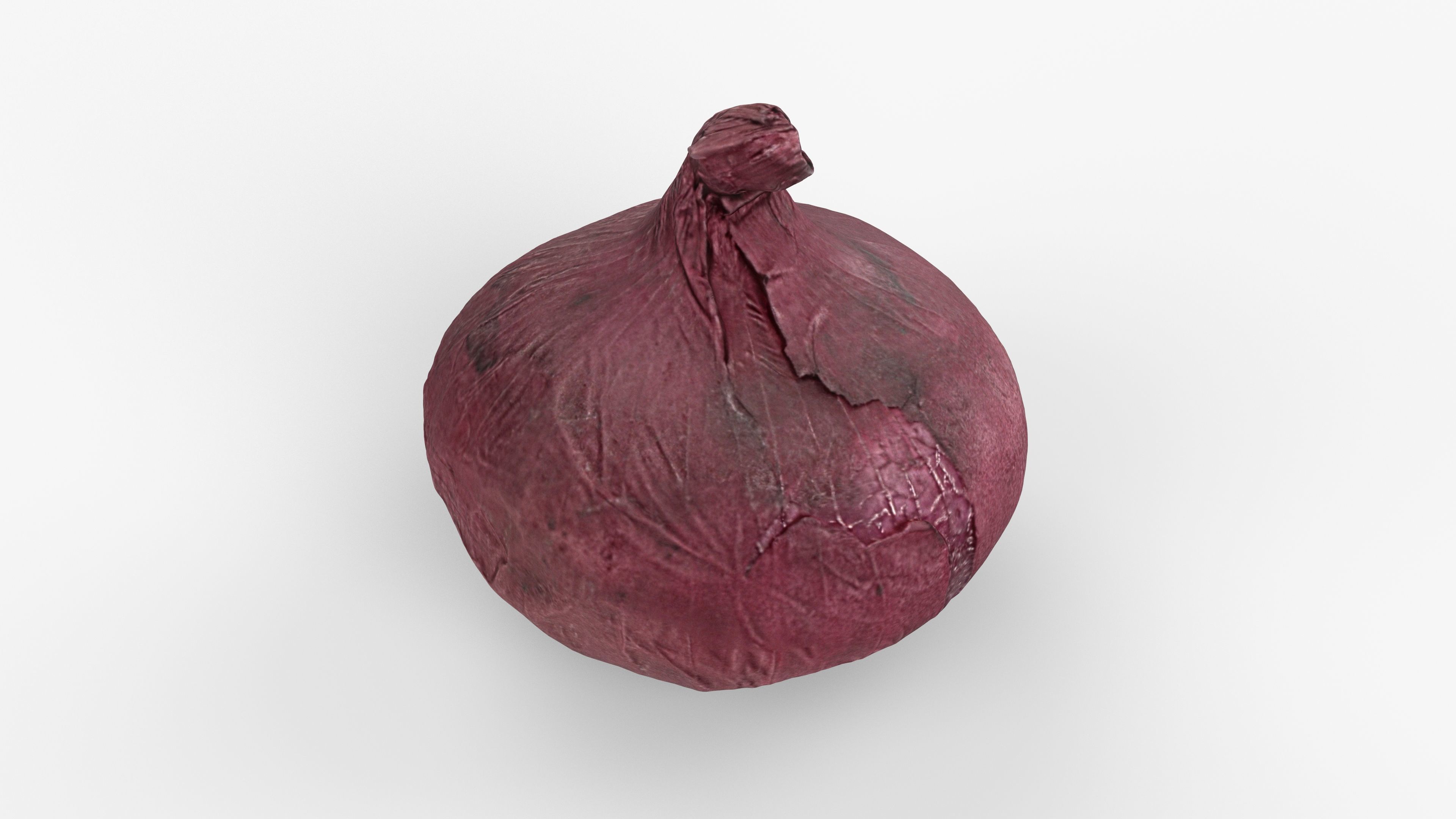 Photorealistic 3D scan of onion Low-poly 3D model_10