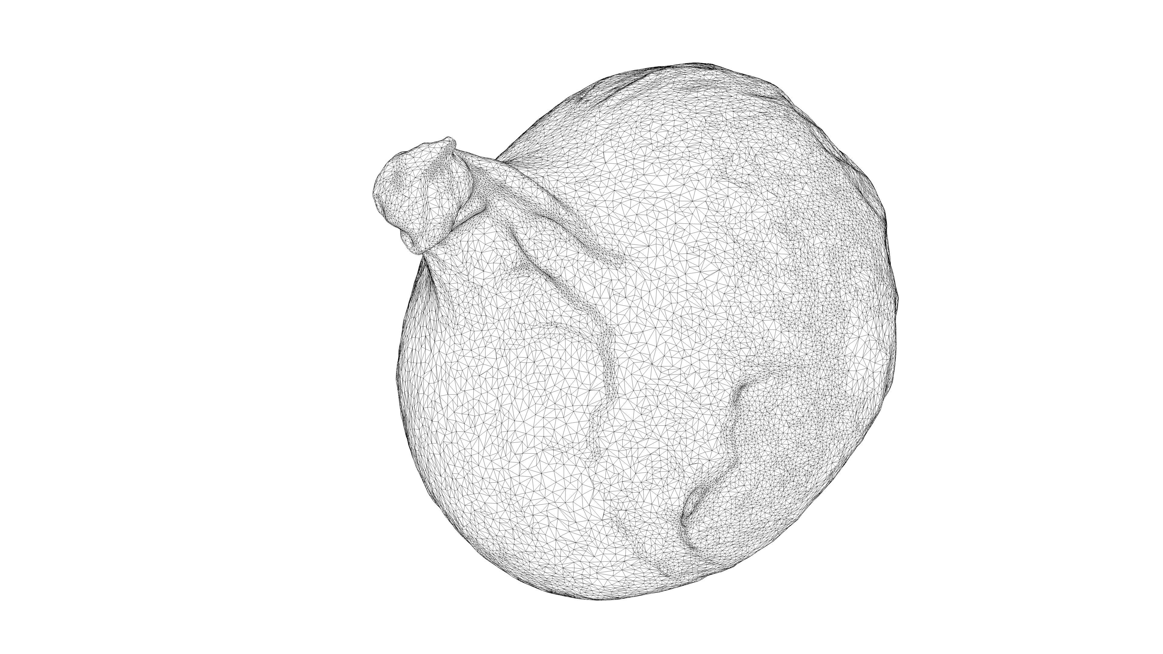 Photorealistic 3D scan of onion Low-poly 3D model_23