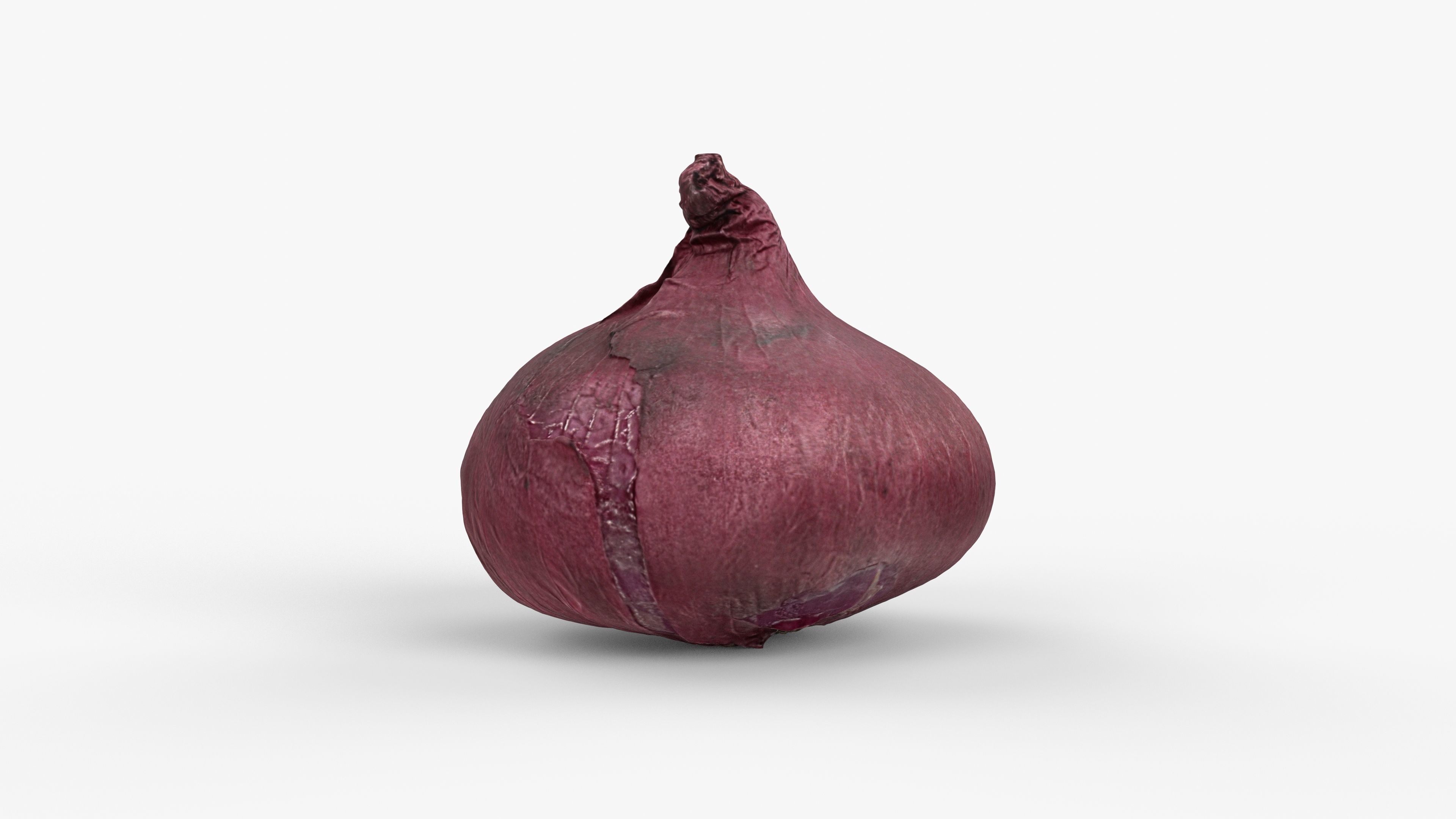 Photorealistic 3D scan of onion Low-poly 3D model_6