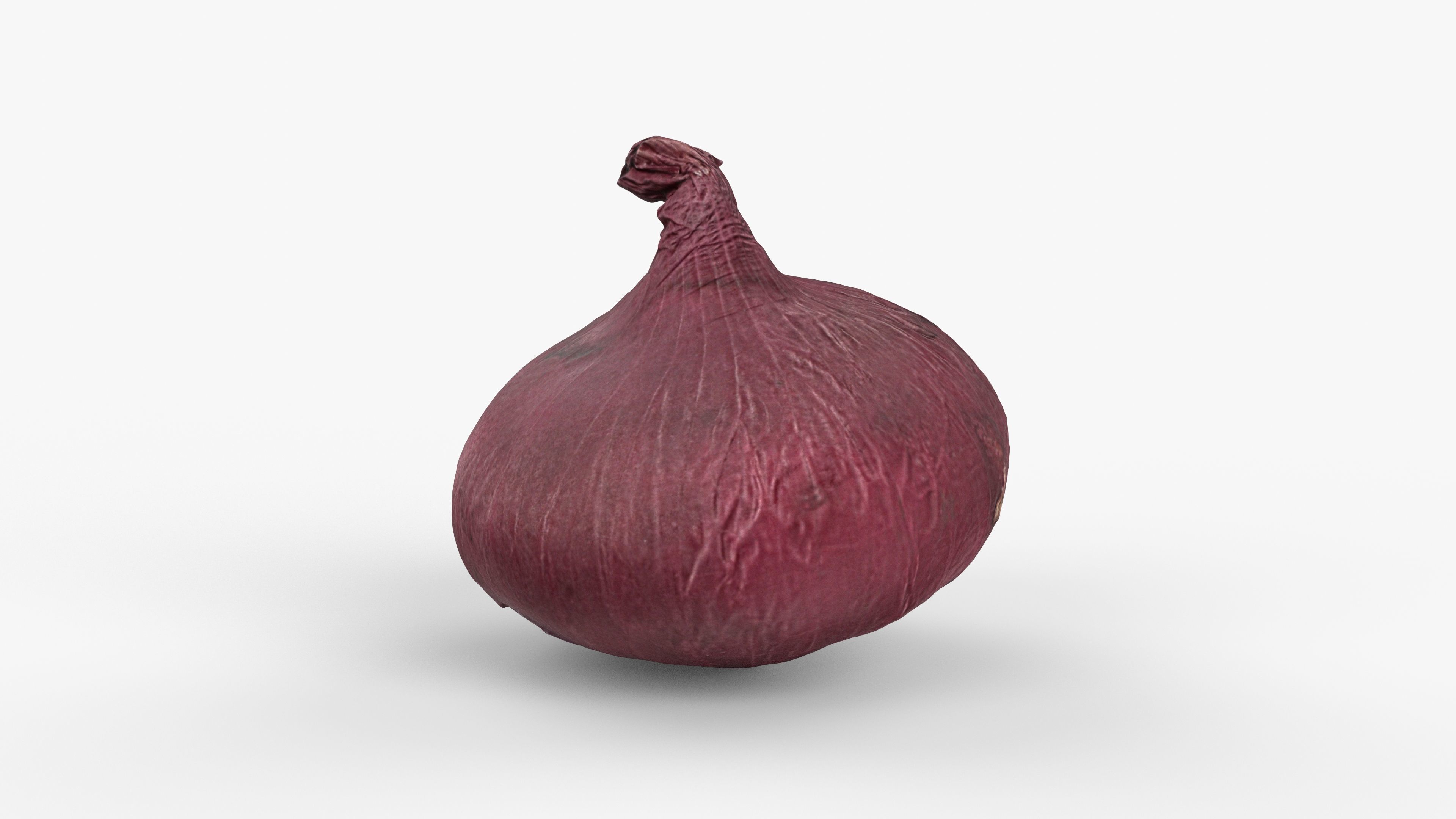 Photorealistic 3D scan of onion Low-poly 3D model_9