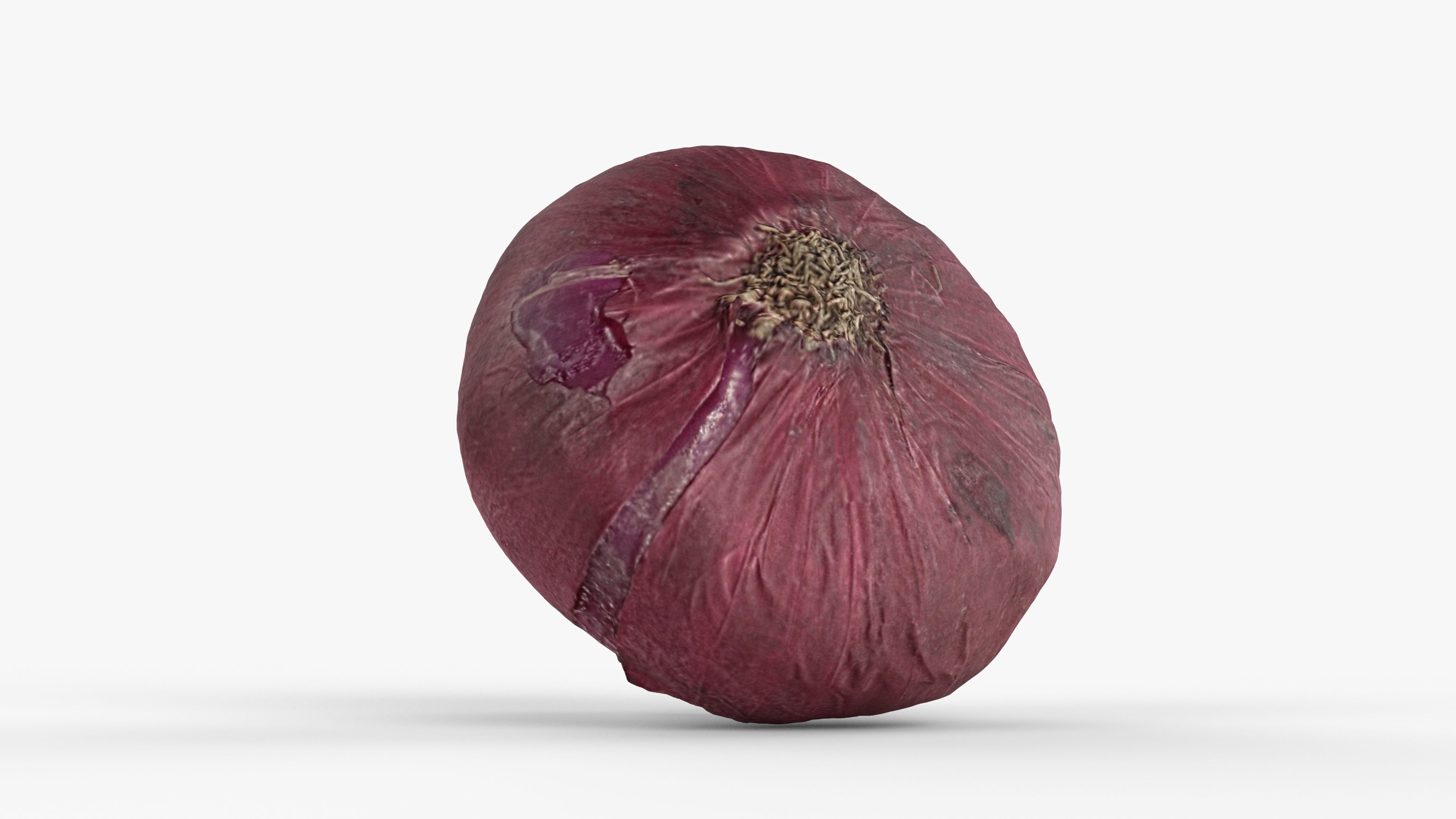 Photorealistic 3D scan of onion Low-poly 3D model_11