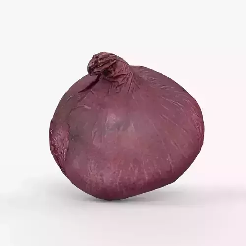 Photorealistic 3D scan of onion Low-poly 3D model
