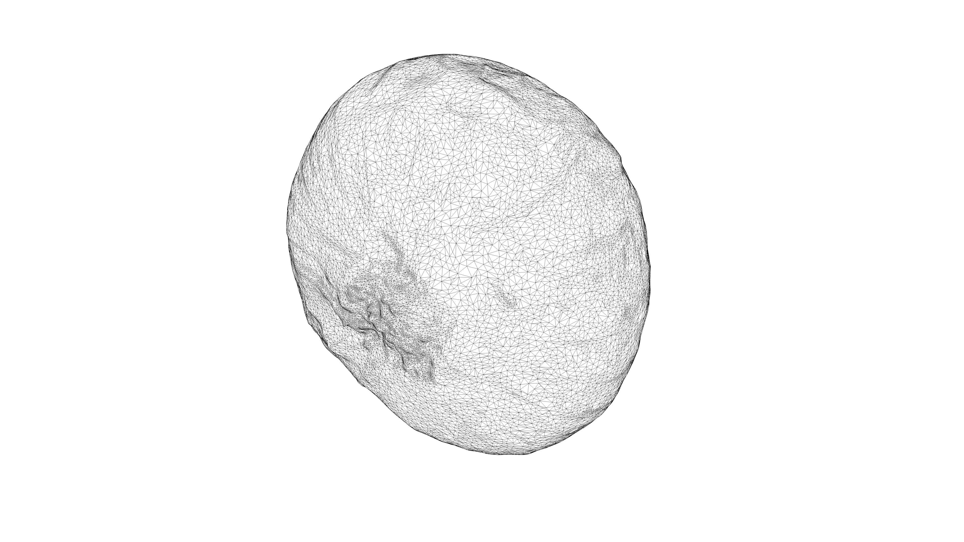Photorealistic 3D scan of onion Low-poly 3D model_22