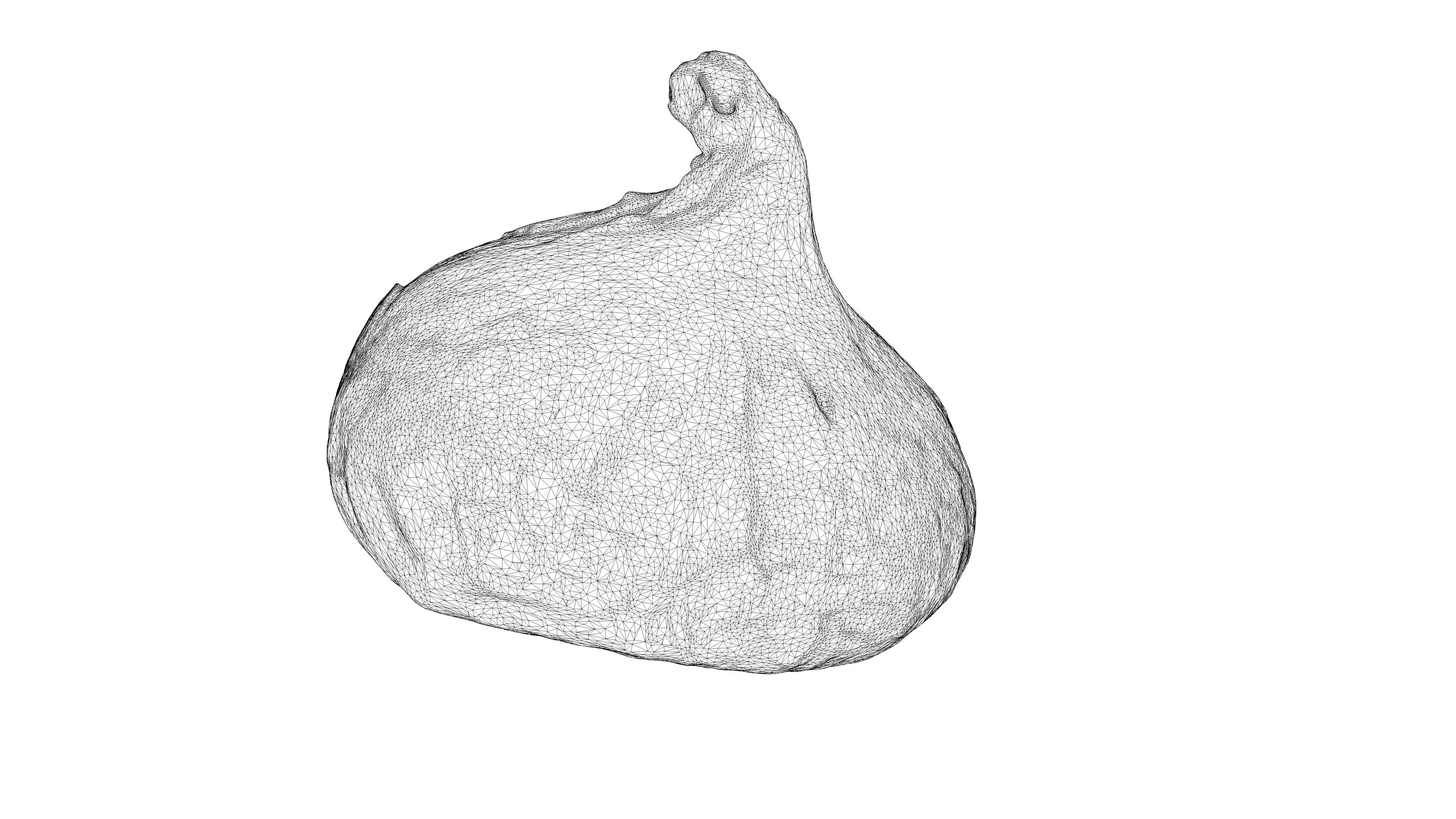 Photorealistic 3D scan of onion Low-poly 3D model_19