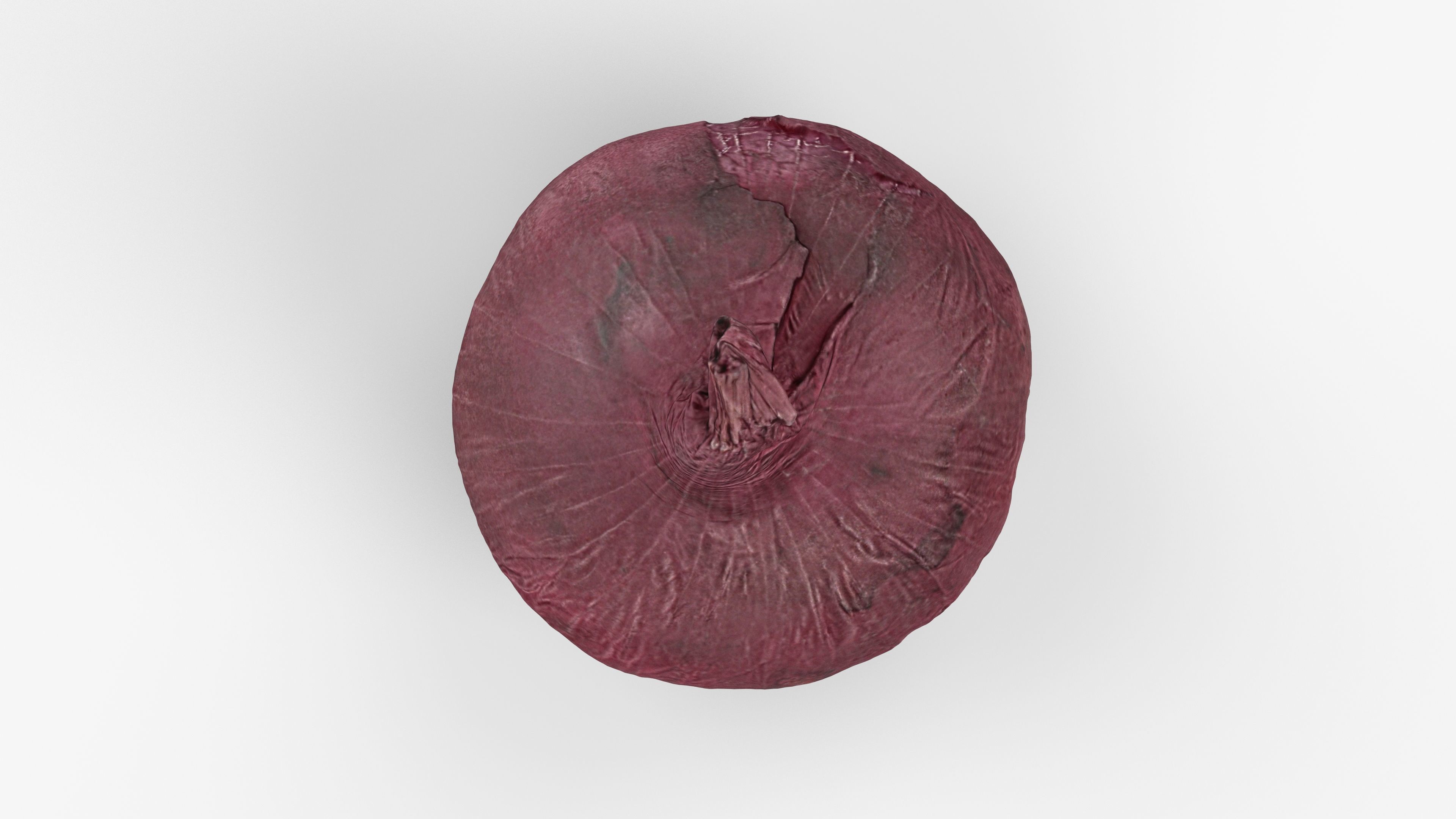 Photorealistic 3D scan of onion Low-poly 3D model_7