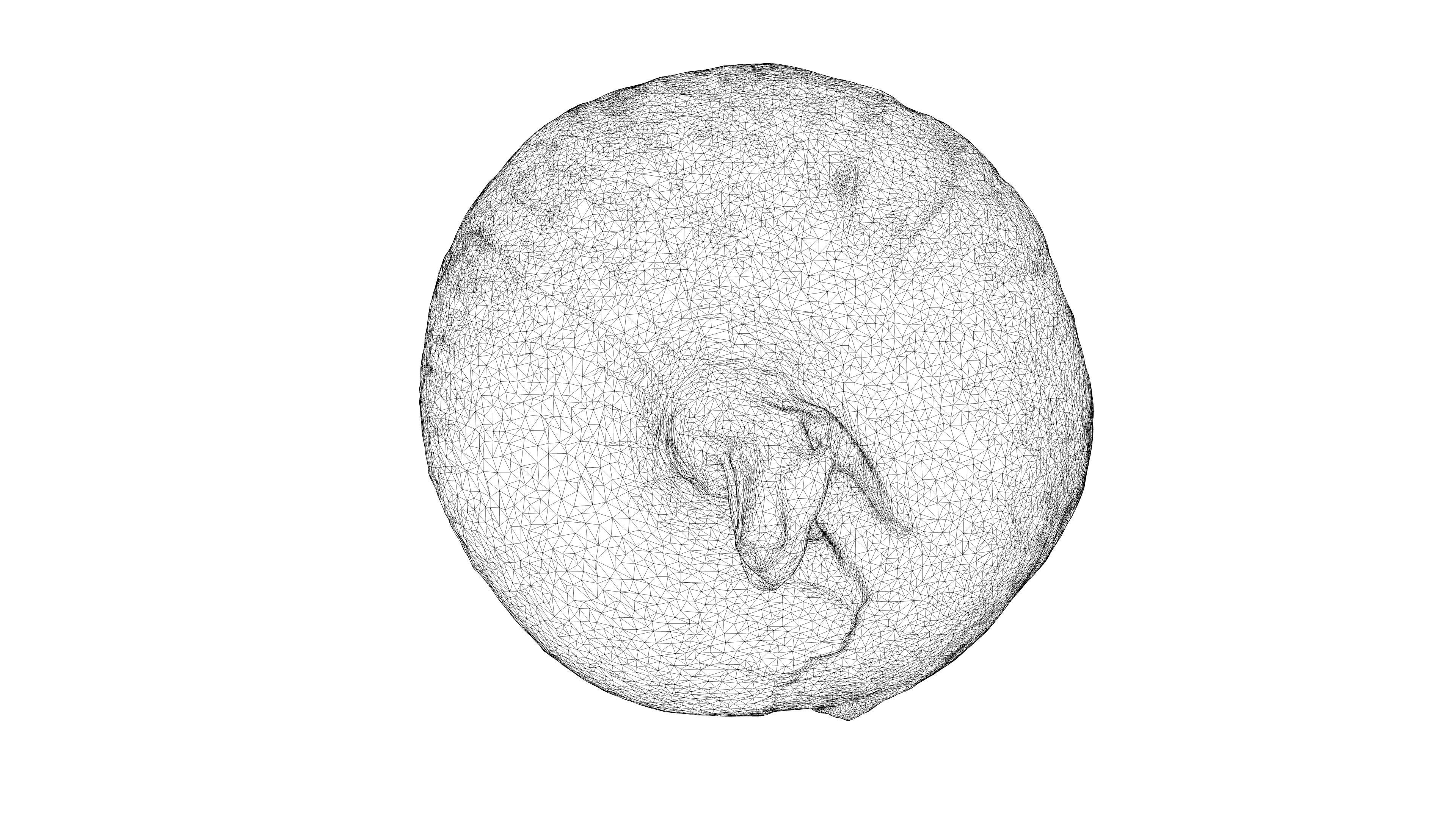 Photorealistic 3D scan of onion Low-poly 3D model_21