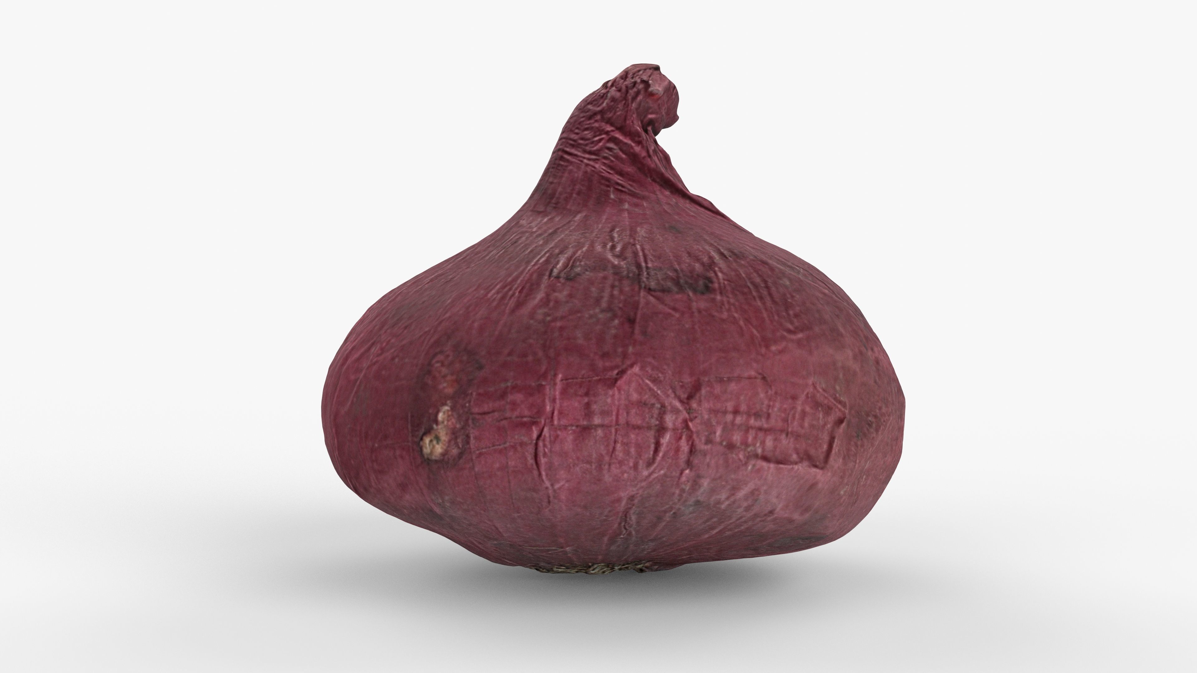 Photorealistic 3D scan of onion Low-poly 3D model_2
