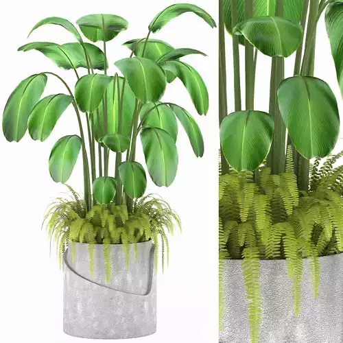 Indoor Plants in Ferm Living Bau Pot Large - Set022