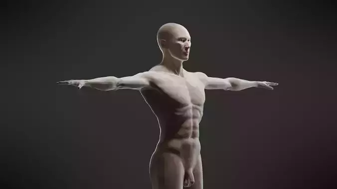 Human Body Man realistic