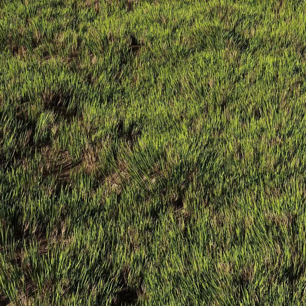 Wild Grass 3D model_0