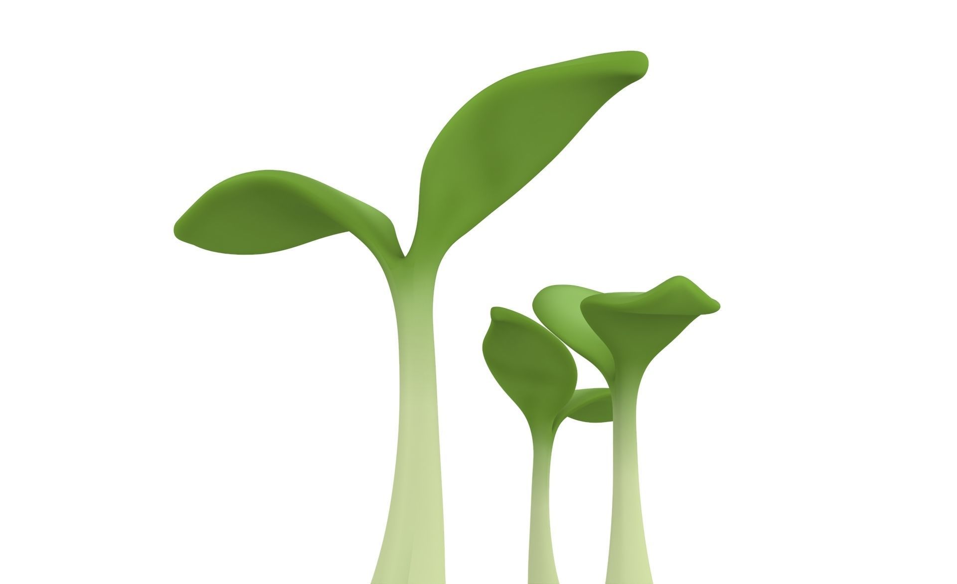Prop32 Plant Sprout Low-poly 3D model_3