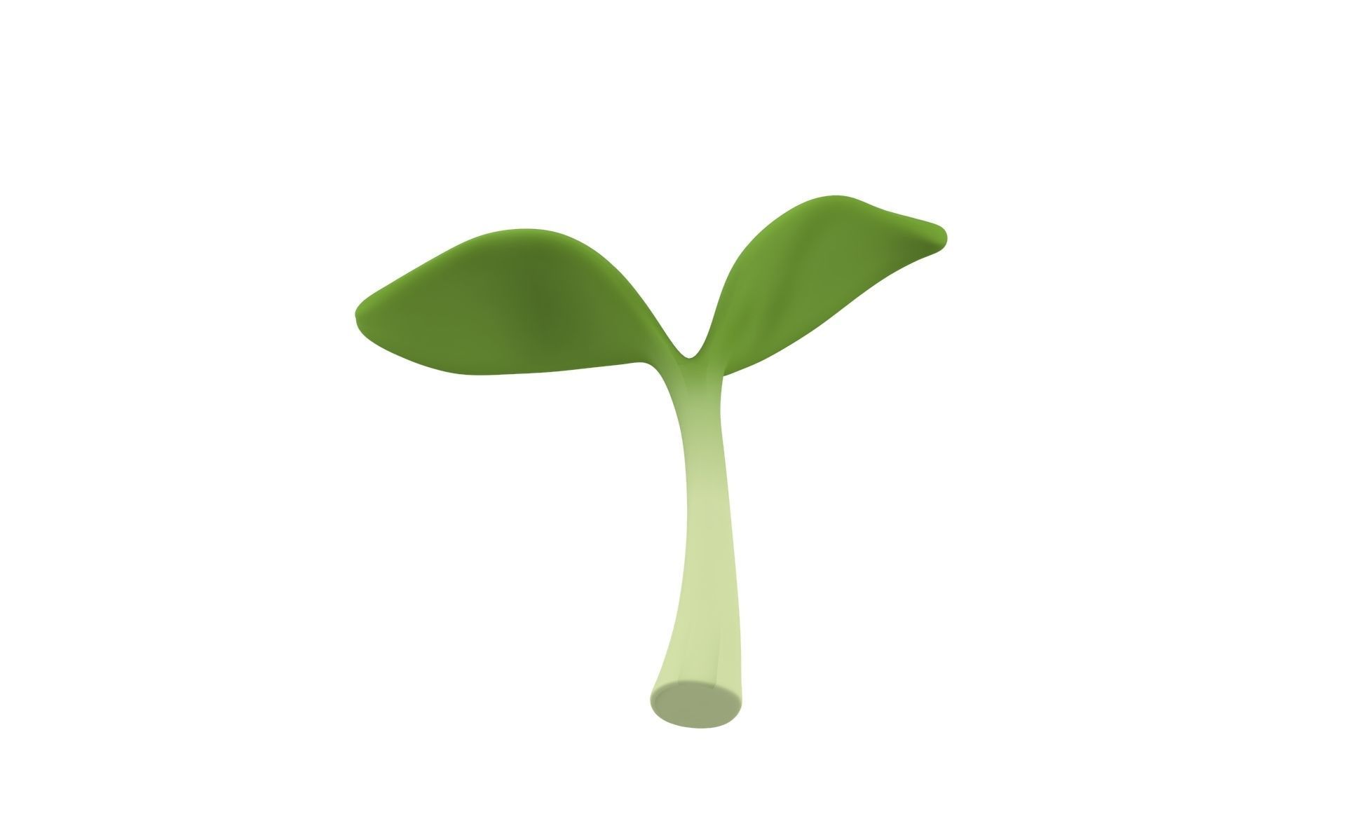 Prop32 Plant Sprout Low-poly 3D model_15