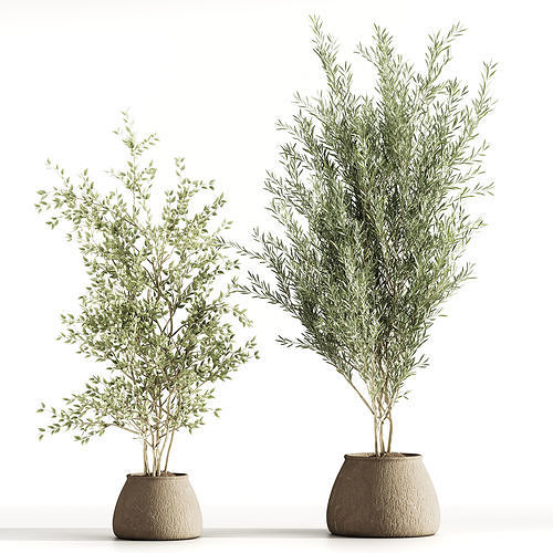 indoor plant stand  3D model