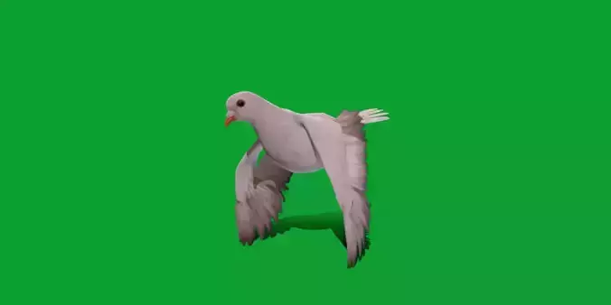 White-winged Dove Bird  Low-poly 3D model
