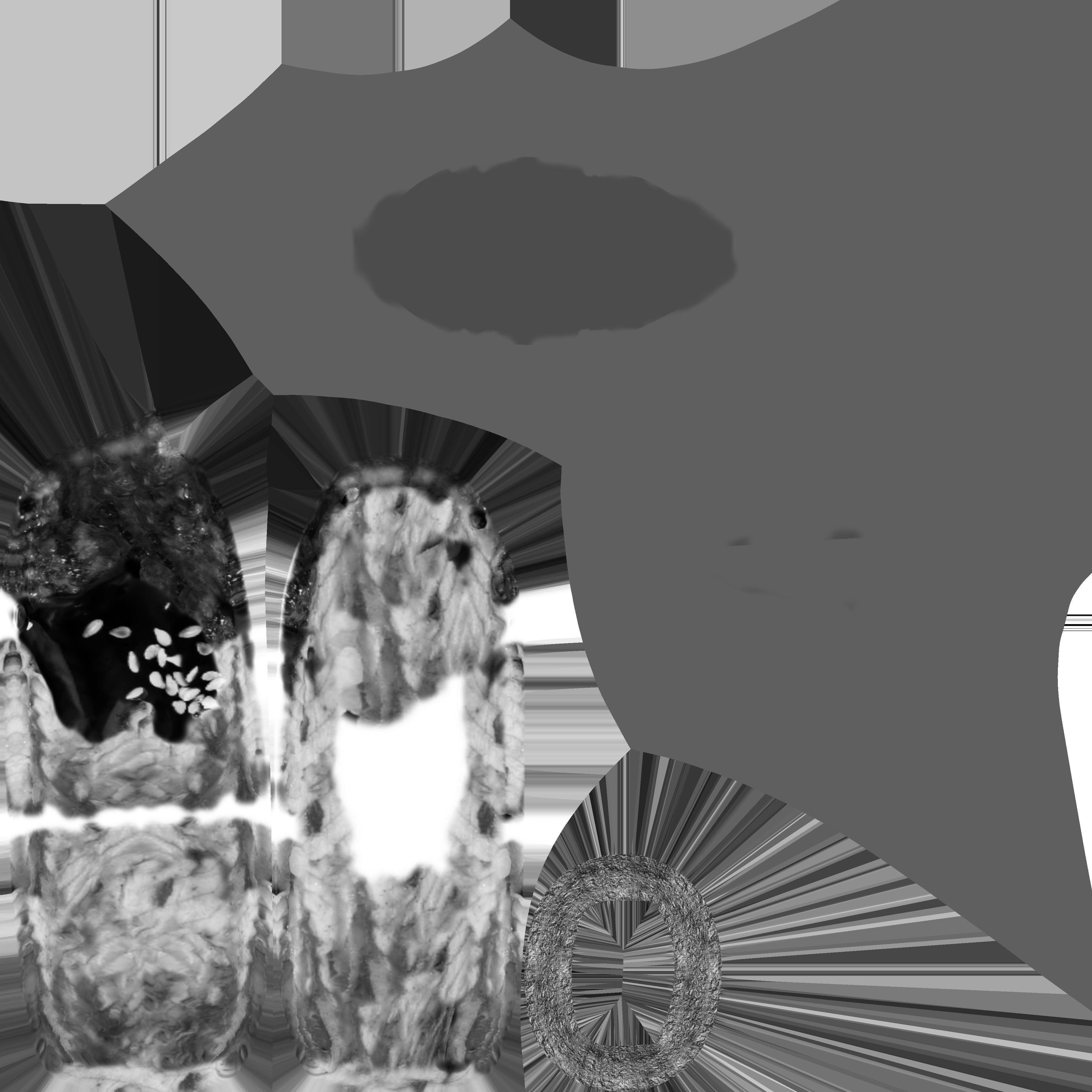 Piece of sushi Low-poly 3D model_5