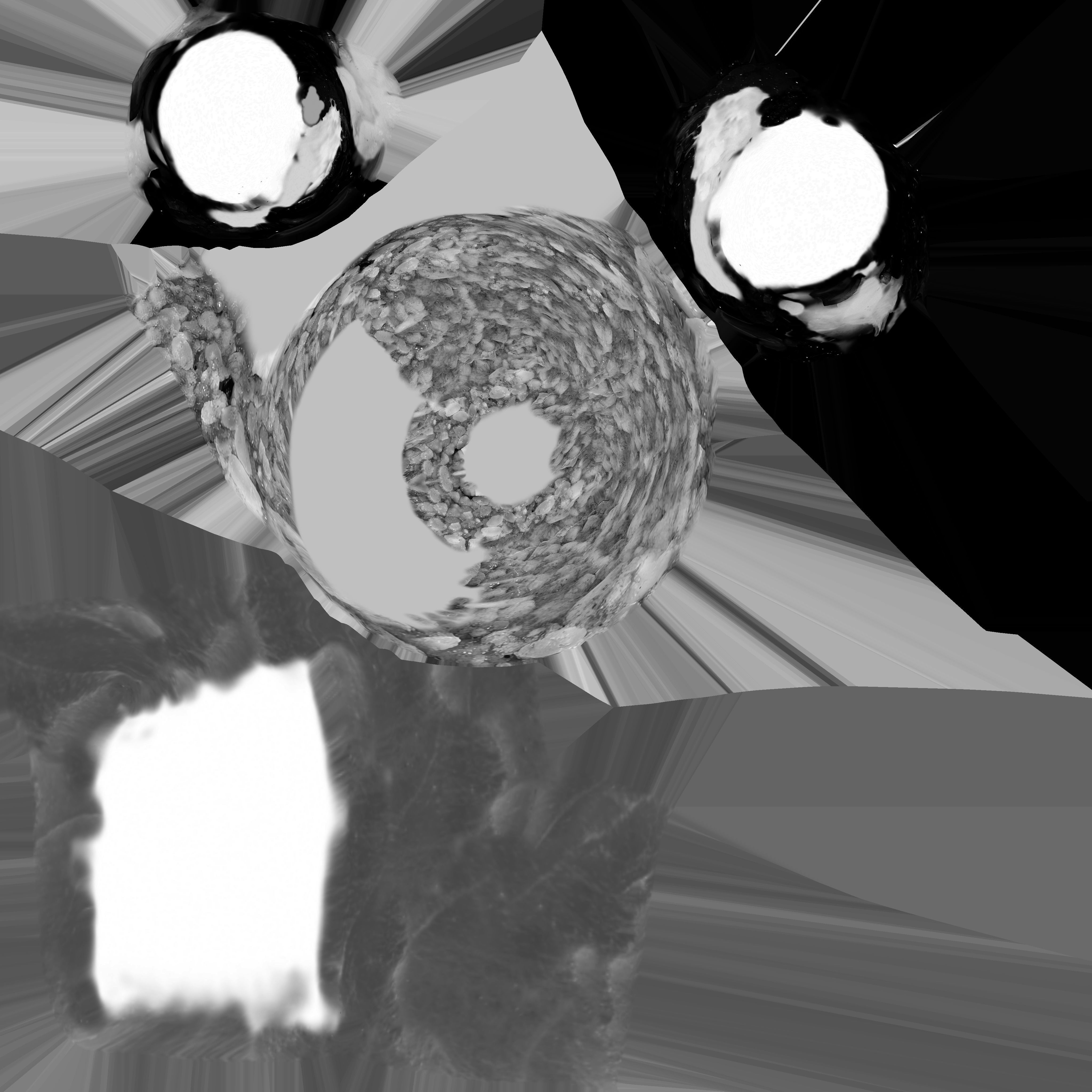 Tuna tiger Low-poly 3D model_6