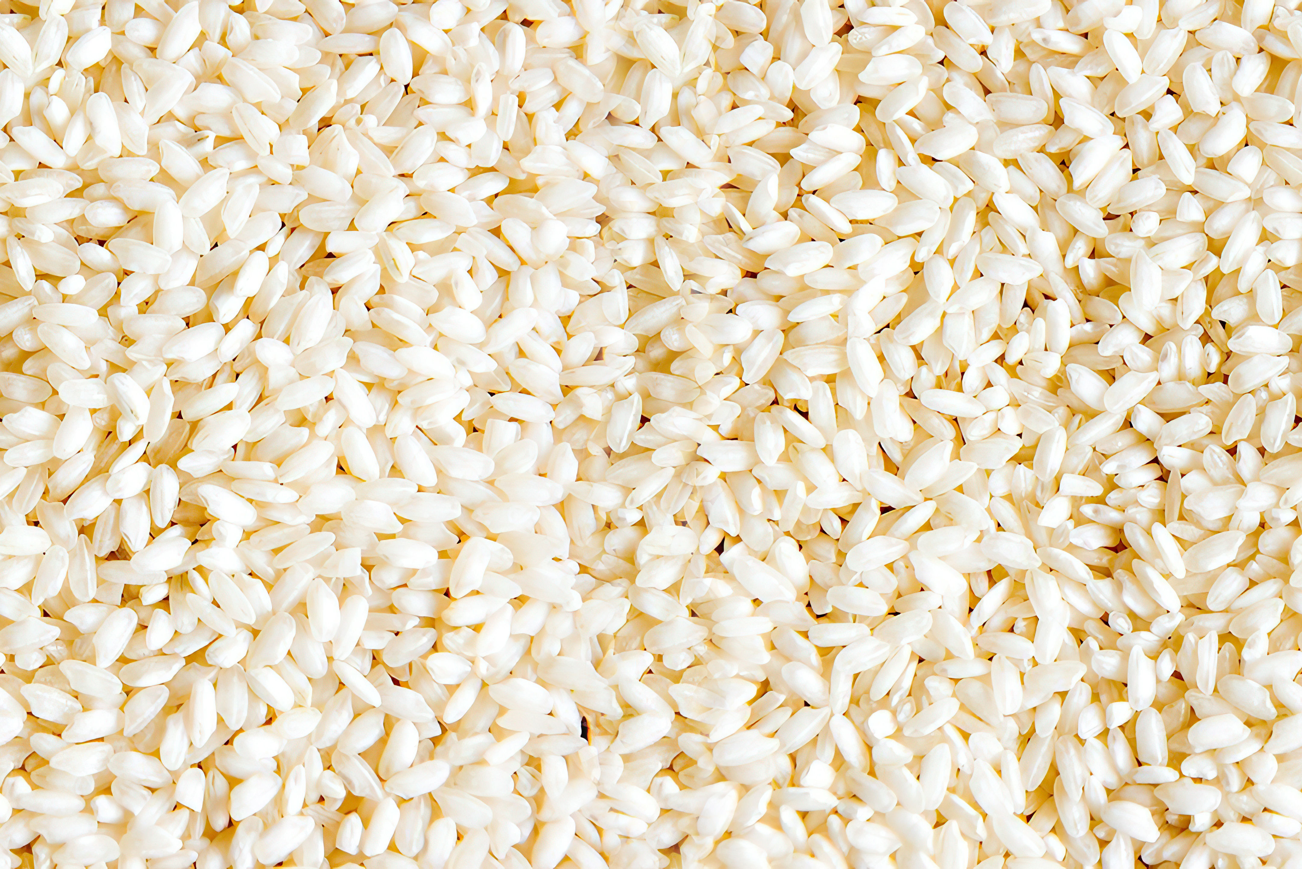 Tuna tiger Low-poly 3D model_1