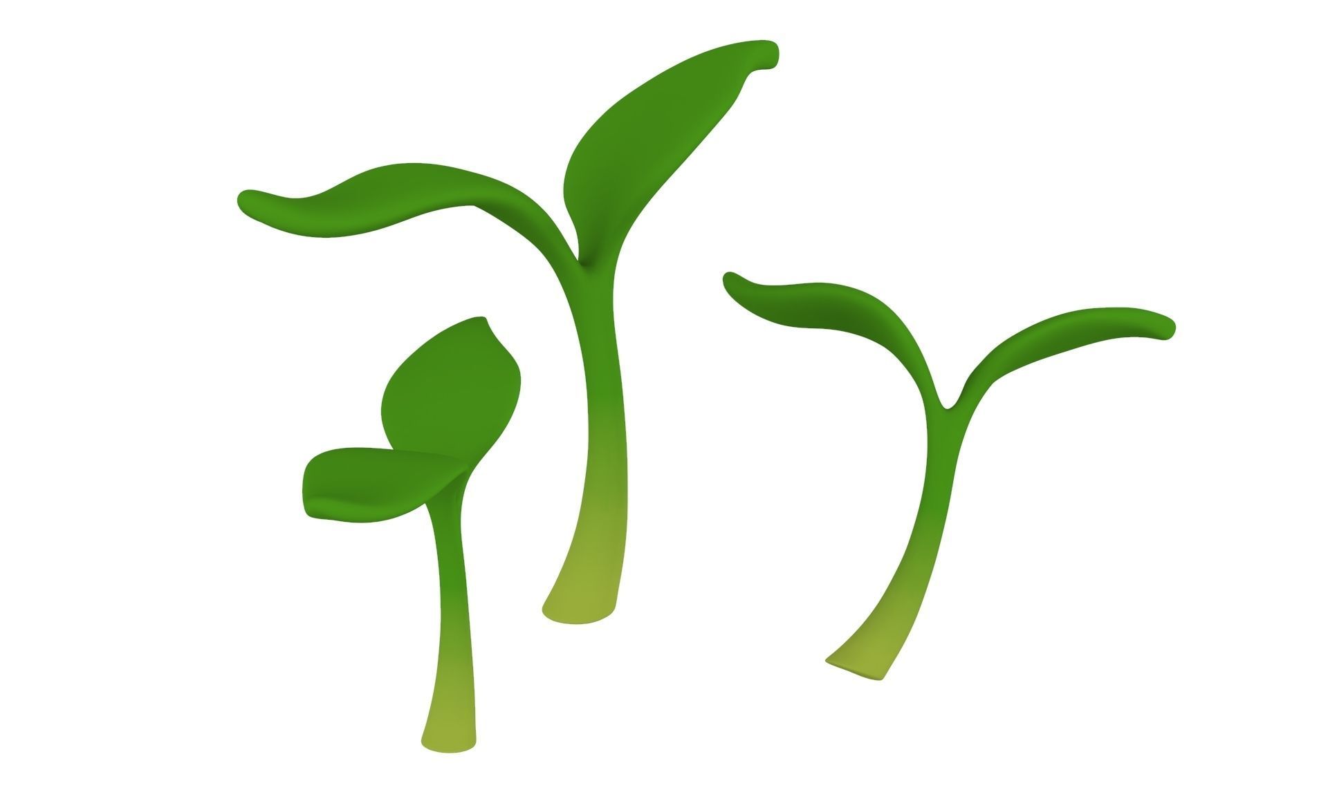 Prop33 Plant Sprout  Low-poly 3D model_13