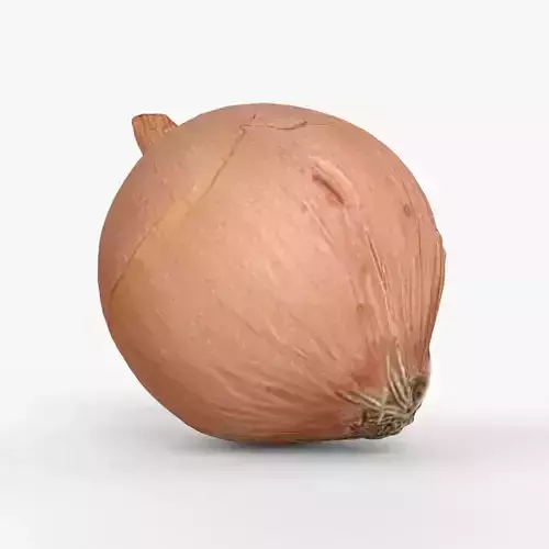Photorealistic 3D scan of onion Low-poly 3D model
