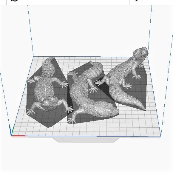 Leopard Geckos Print in Place 3D Print Model 3D print model_8