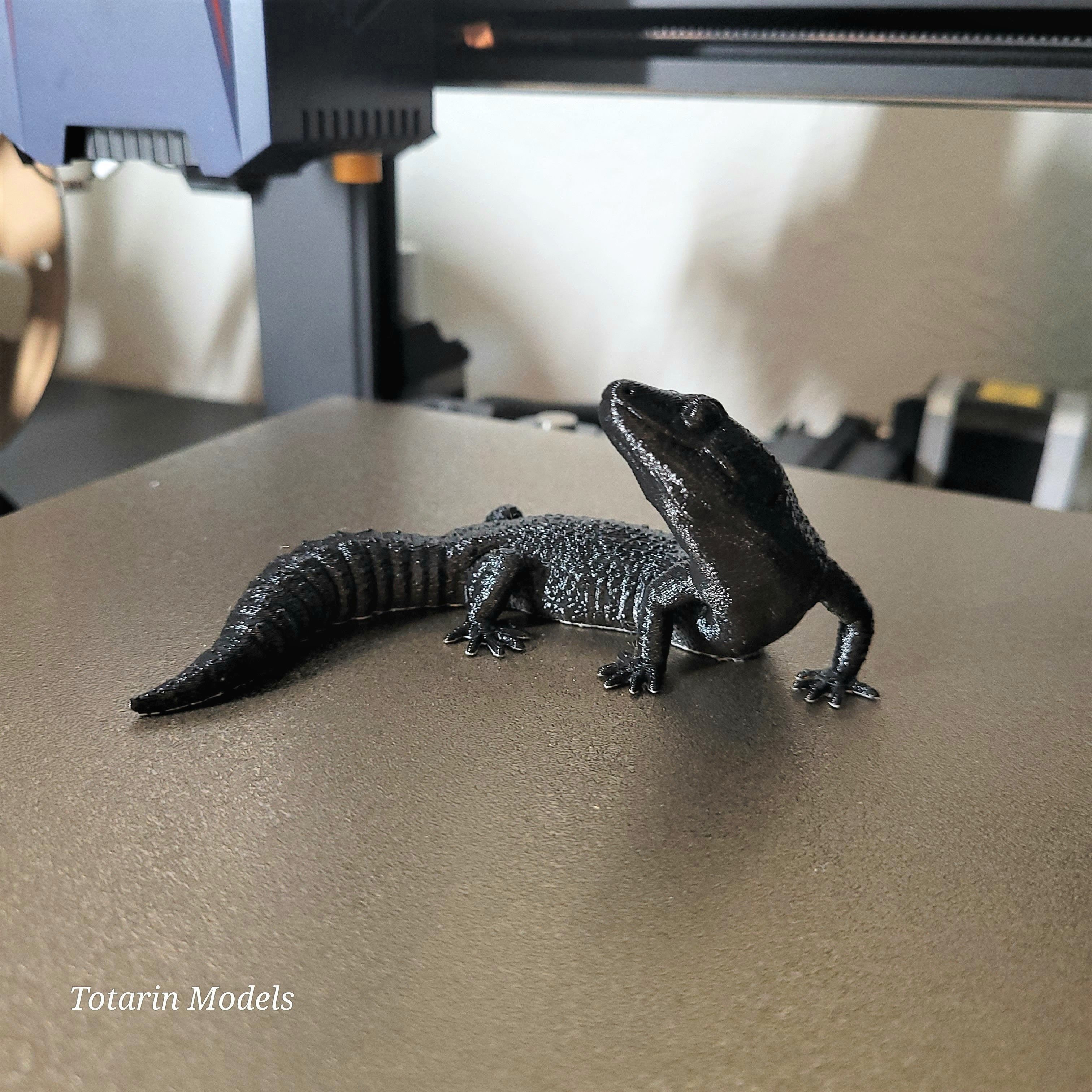 Leopard Geckos Print in Place 3D Print Model 3D print model_5