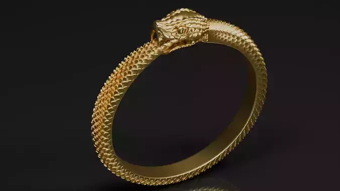 Ouroboros Ring size 6-14