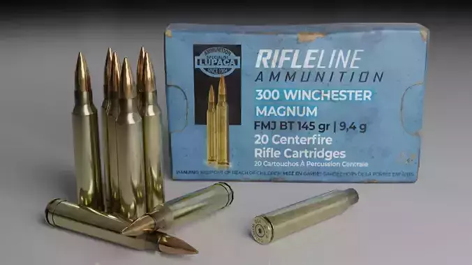 300 Winchester Magnum Rifle cartridge