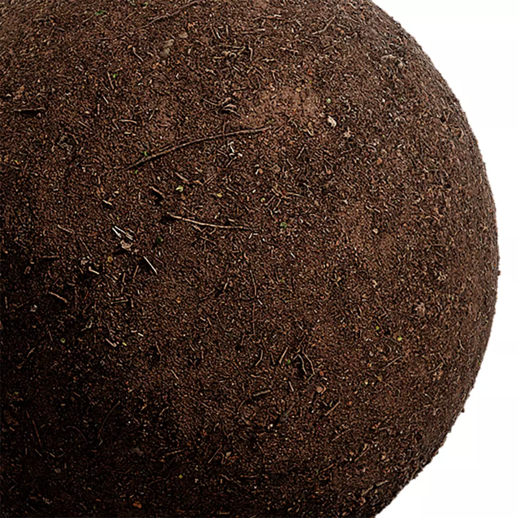 Ground Seamless Texture 2K - EXR 5 - JPG 5 Texture Texture_0