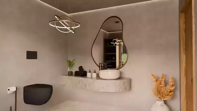 Minimalist elegant toilet bathroom 