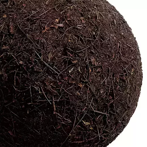 Ground Seamless Texture 2K - EXR 5 - JPG 5 Texture