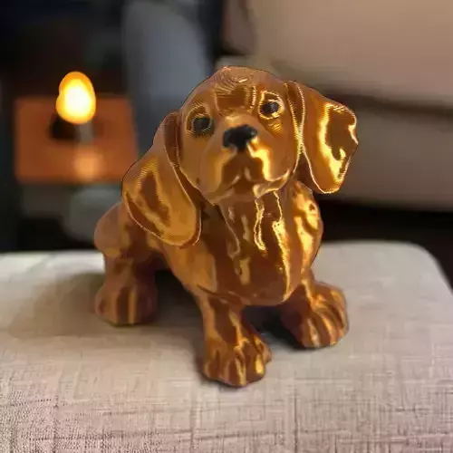 DACHSHUND DOG BABY
