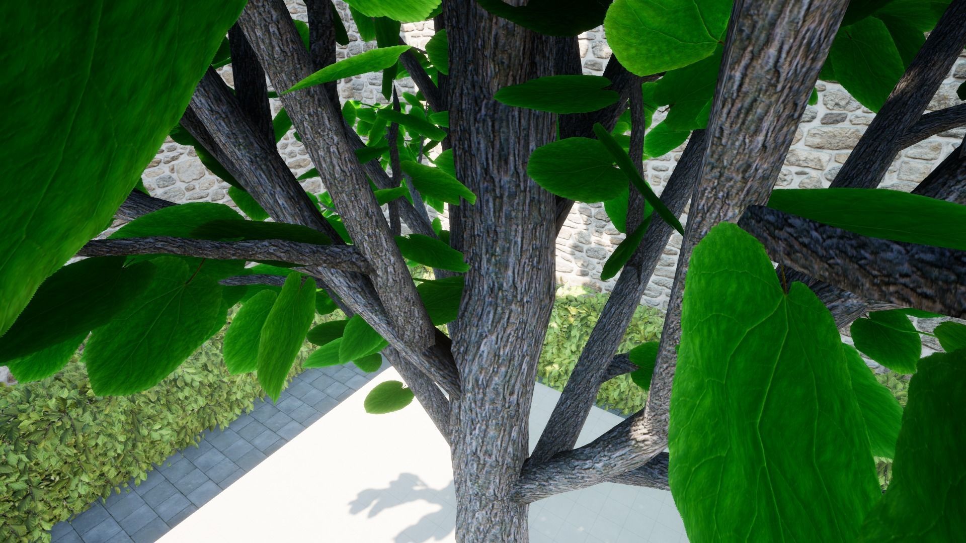 SOLID Free 3D print model_18