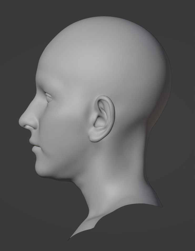 Realistic Female Head 3D model 3D model_9