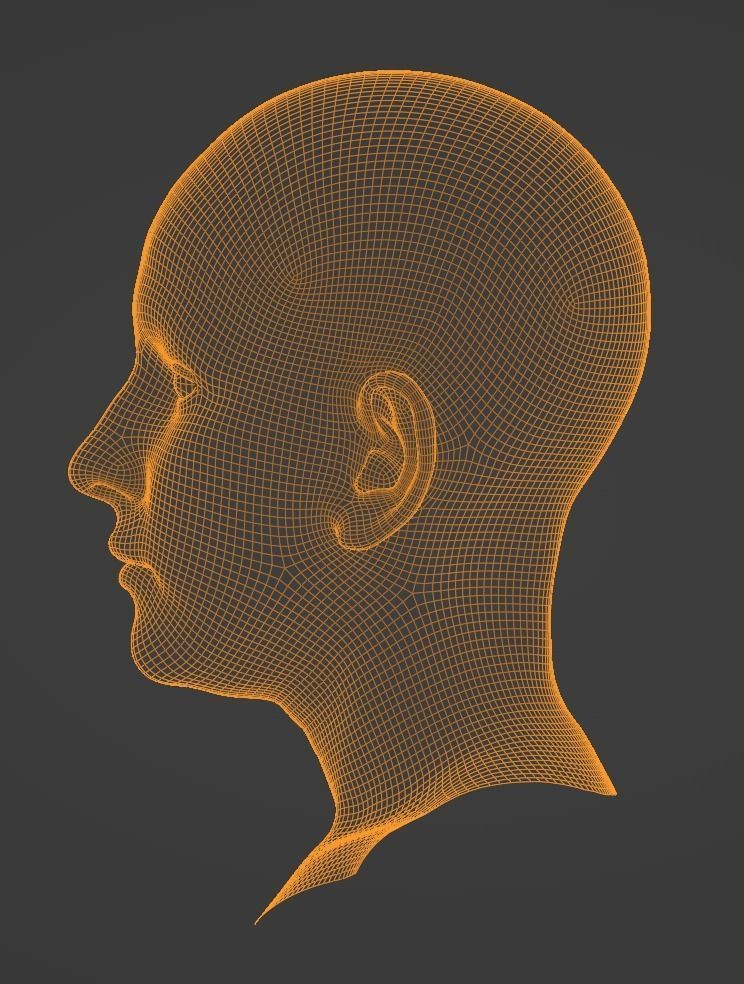 Realistic Female Head 3D model 3D model_1