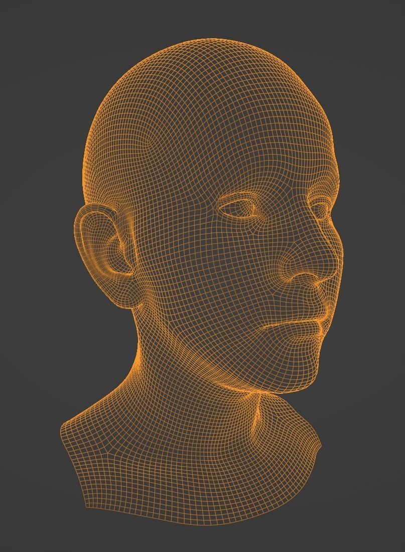 Realistic Female Head 3D model 3D model_6