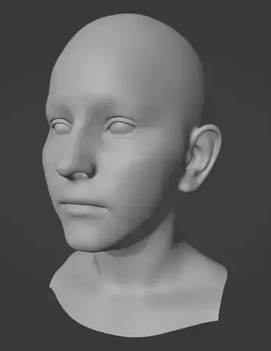 Realistic Female Head 3D model