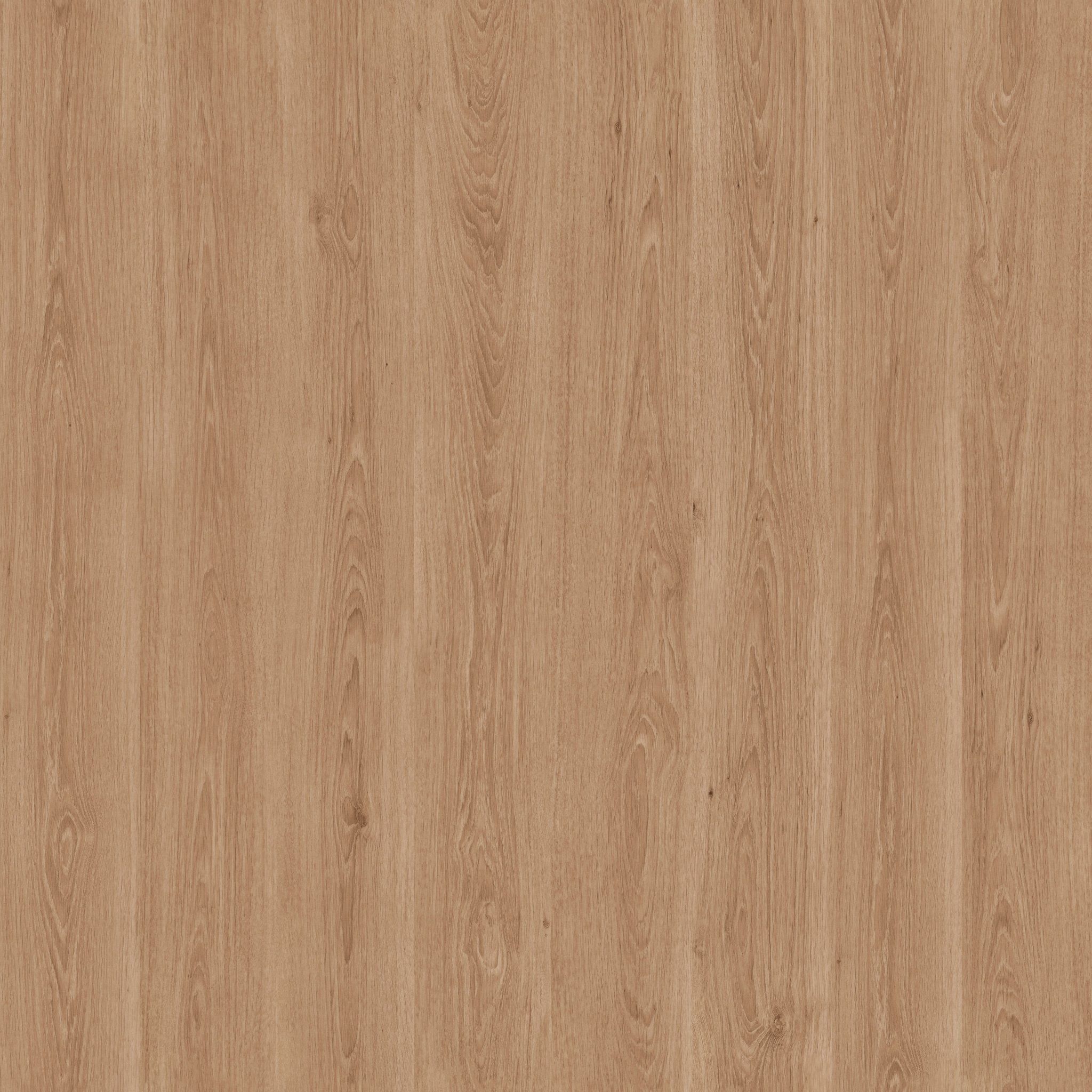 Boat and Boat-Jeanneau collection 2008 Low-poly 3D model_12