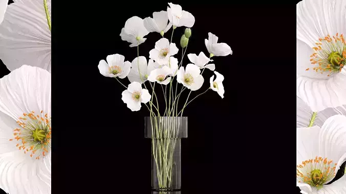 Bouquet of white wildflowers in a vase with poppy 404