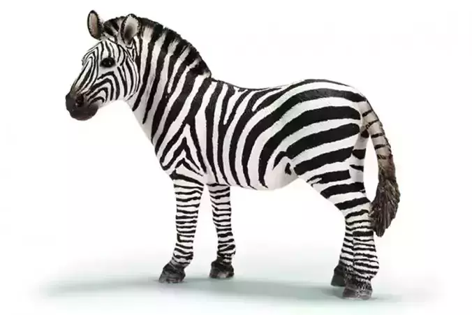 Zebra Animated 3D model