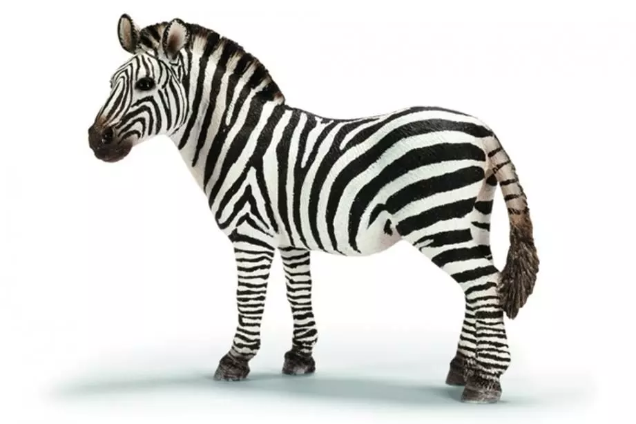 Zebra Animated 3D model 3D model_0