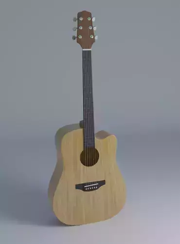 Folk Guitar