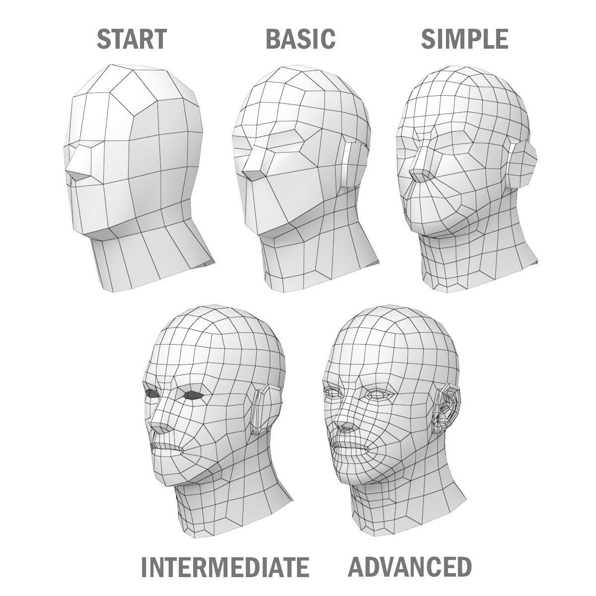 Hero Male in A-Pose in 5 Topologies 3D model_9