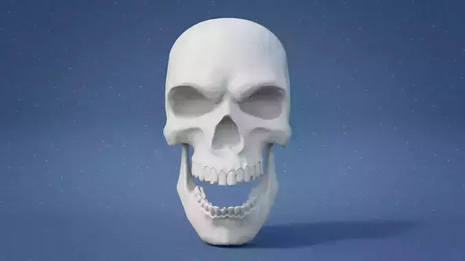Skull