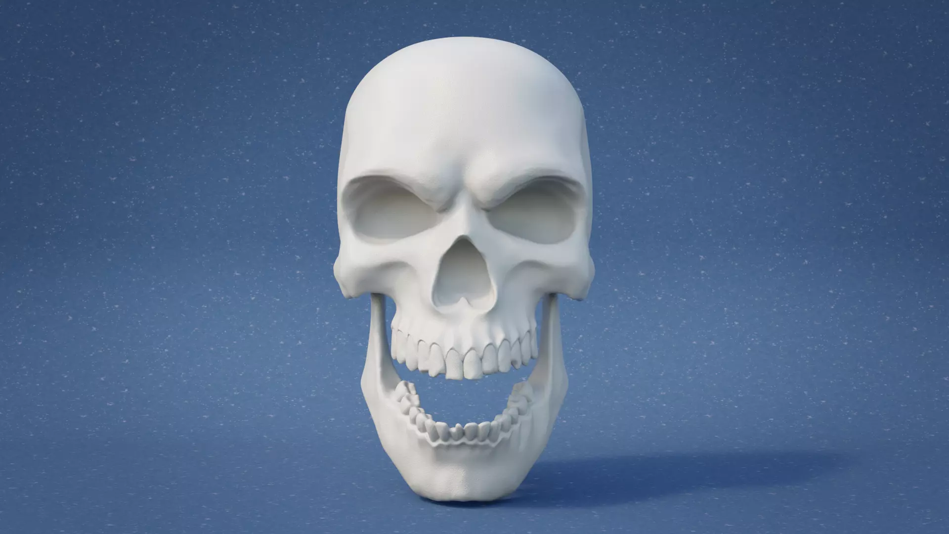 Skull 3D print model