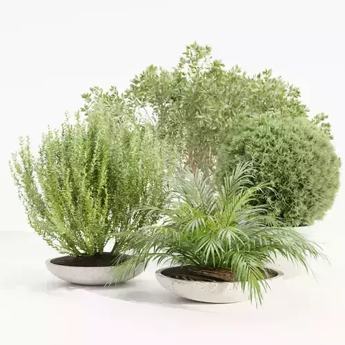 Outdoor Plants collection vol 236-Blender