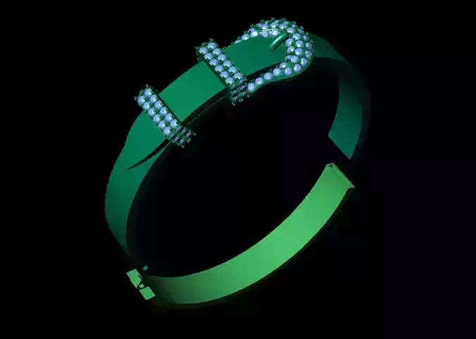 Bangle style belt very special