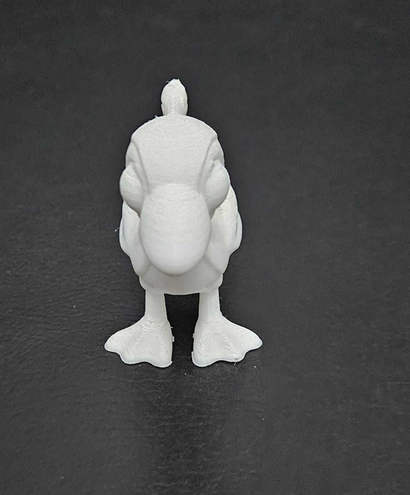 Puffin Big Eyes 3D print model_14